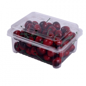 plastic clamshell packaging For Strawberry