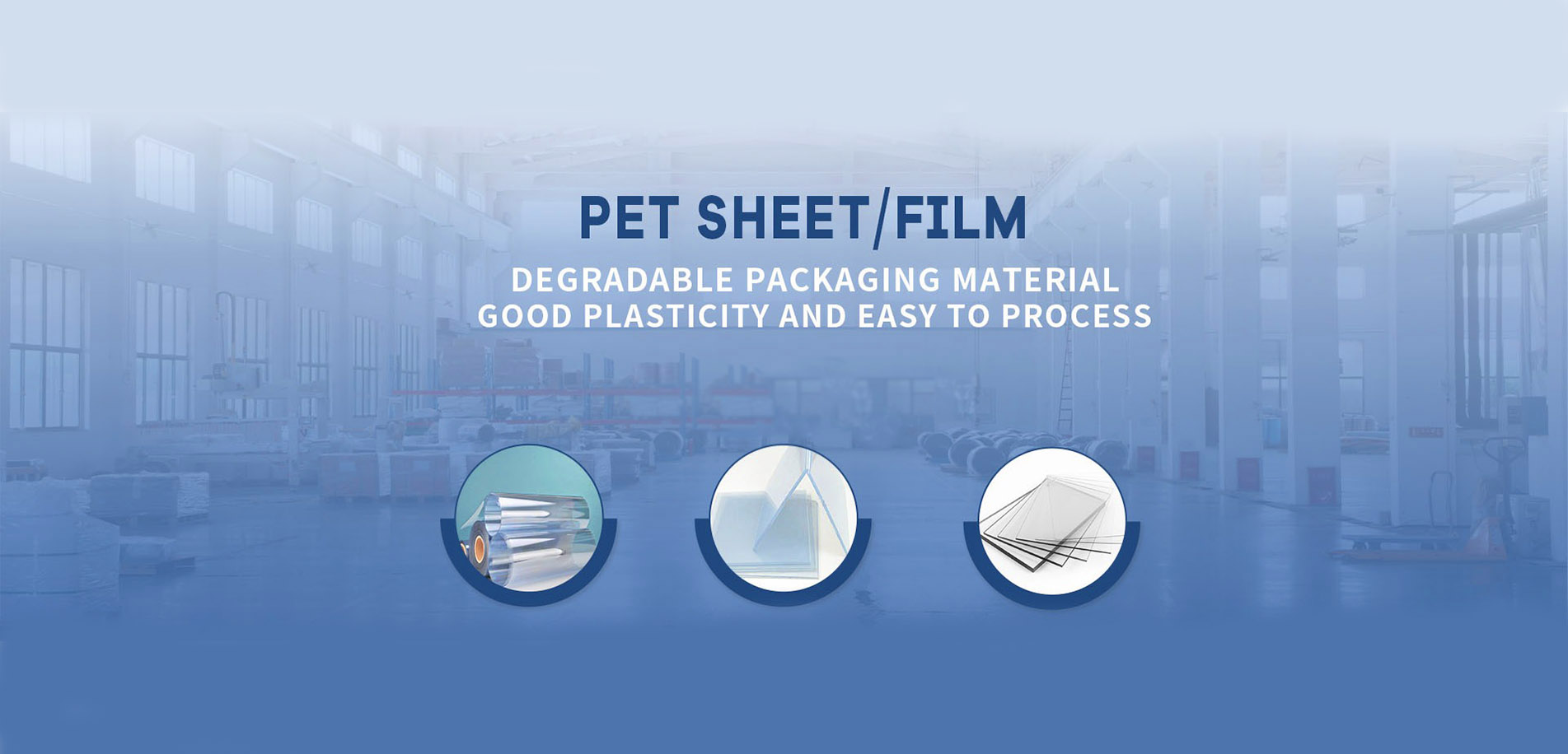 PET sheet